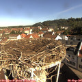 09_30-nest.jpg