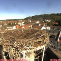 09_50-nest.jpg