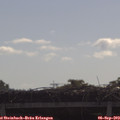 10_00-mast.jpg