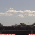 10_05-mast.jpg
