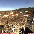10_05-nest.jpg