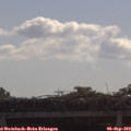 10_10-mast.jpg