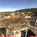 10_15-nest.jpg