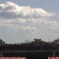 10_25-mast.jpg