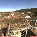 10_25-nest.jpg