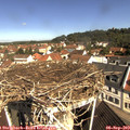 10_35-nest.jpg