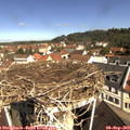 10_40-nest.jpg