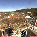 10_55-nest.jpg