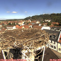 11_00-nest.jpg