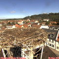 11_05-nest.jpg