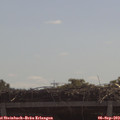11_10-mast.jpg