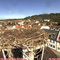 11_10-nest.jpg
