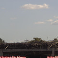 11_25-mast.jpg