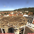 11_25-nest.jpg