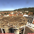 11_30-nest.jpg