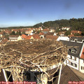 11_35-nest.jpg