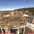 11_40-nest.jpg