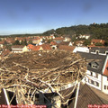 11_45-nest.jpg