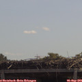 11_50-mast.jpg