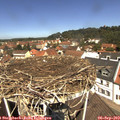 12_00-nest.jpg