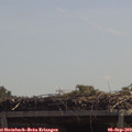 12_10-mast.jpg