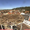 12_15-nest.jpg