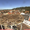 12_20-nest.jpg