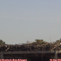 12_25-mast.jpg