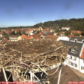 12_25-nest.jpg