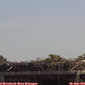 12_30-mast.jpg