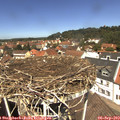12_30-nest.jpg