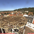 12_35-nest.jpg