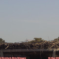 12_40-mast.jpg