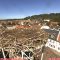 12_40-nest.jpg