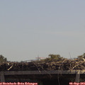 12_45-mast.jpg