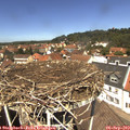 12_45-nest.jpg