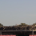 12_50-mast.jpg