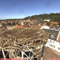 13_00-nest.jpg