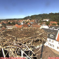 13_10-nest.jpg