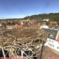 13_15-nest.jpg