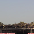 13_20-mast.jpg