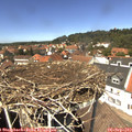 13_25-nest.jpg