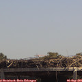 13_30-mast.jpg