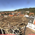 13_30-nest.jpg