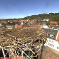 13_35-nest.jpg