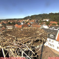 13_40-nest.jpg