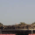 13_50-mast.jpg