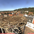13_50-nest.jpg