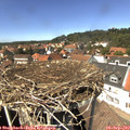 13_55-nest.jpg