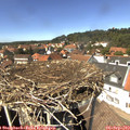14_00-nest.jpg
